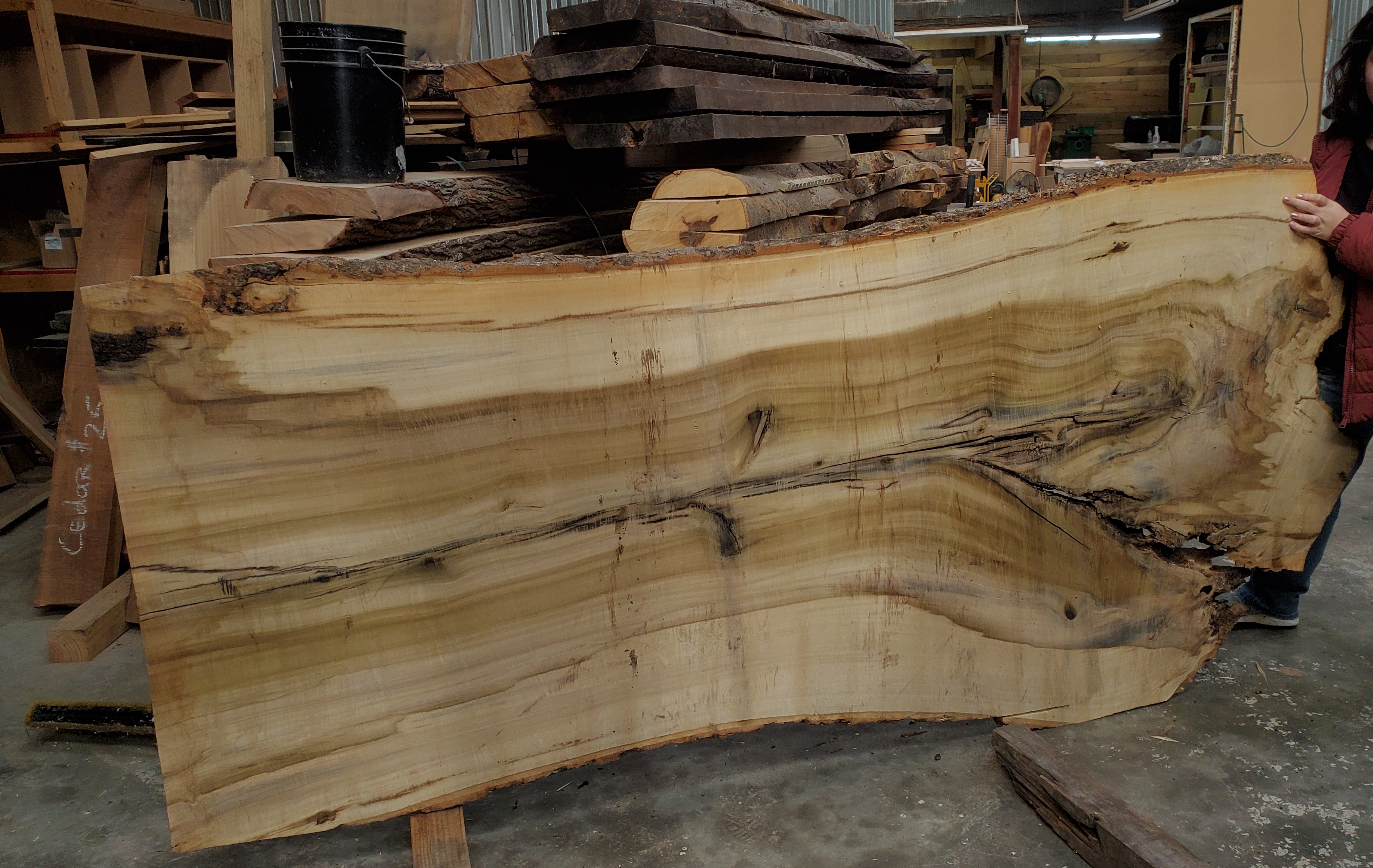 Wood slabs - Image 2